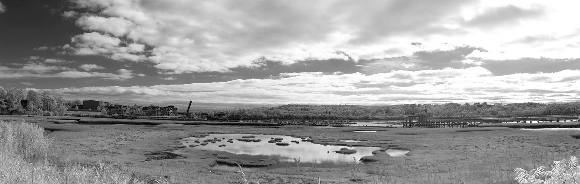 Infrared Panorama of Wetland and Sky.
